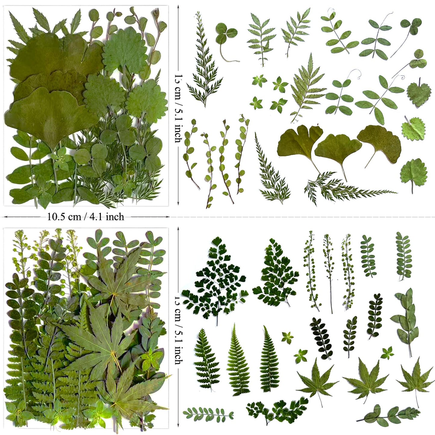 LUCISKY 136Pcs Pressed Dried Leaves and Butterfly for Resin Molds, Real Natural Flowers Stickers for DIY Art Crafts, Jewelry, Candle, Soap Crafts Making