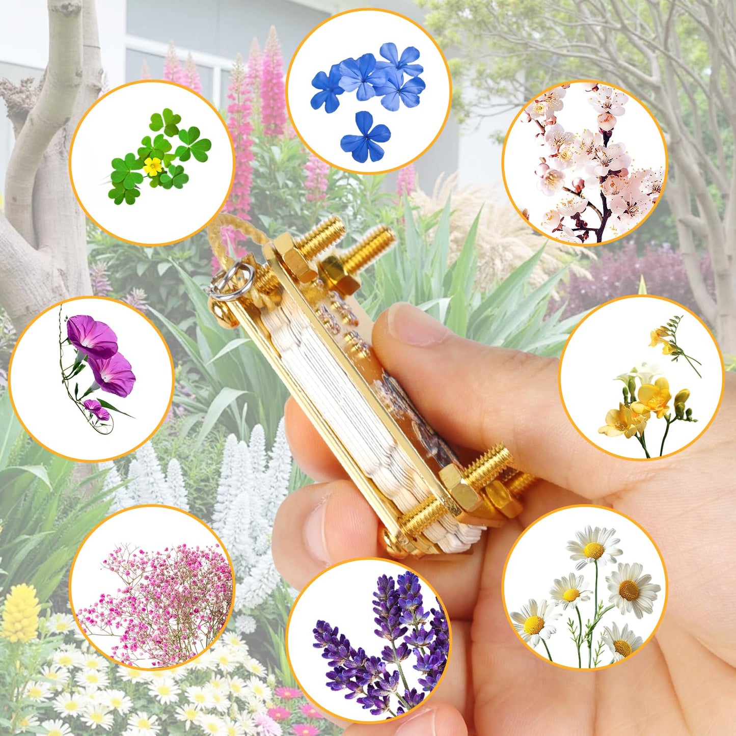 loghohu Micro Flower Press, Mini Flower Press with 20 Reusable Specimen Papers and Wrench Metal DIY Plant Presses Preservation Kit for Arts and Crafts Lovers