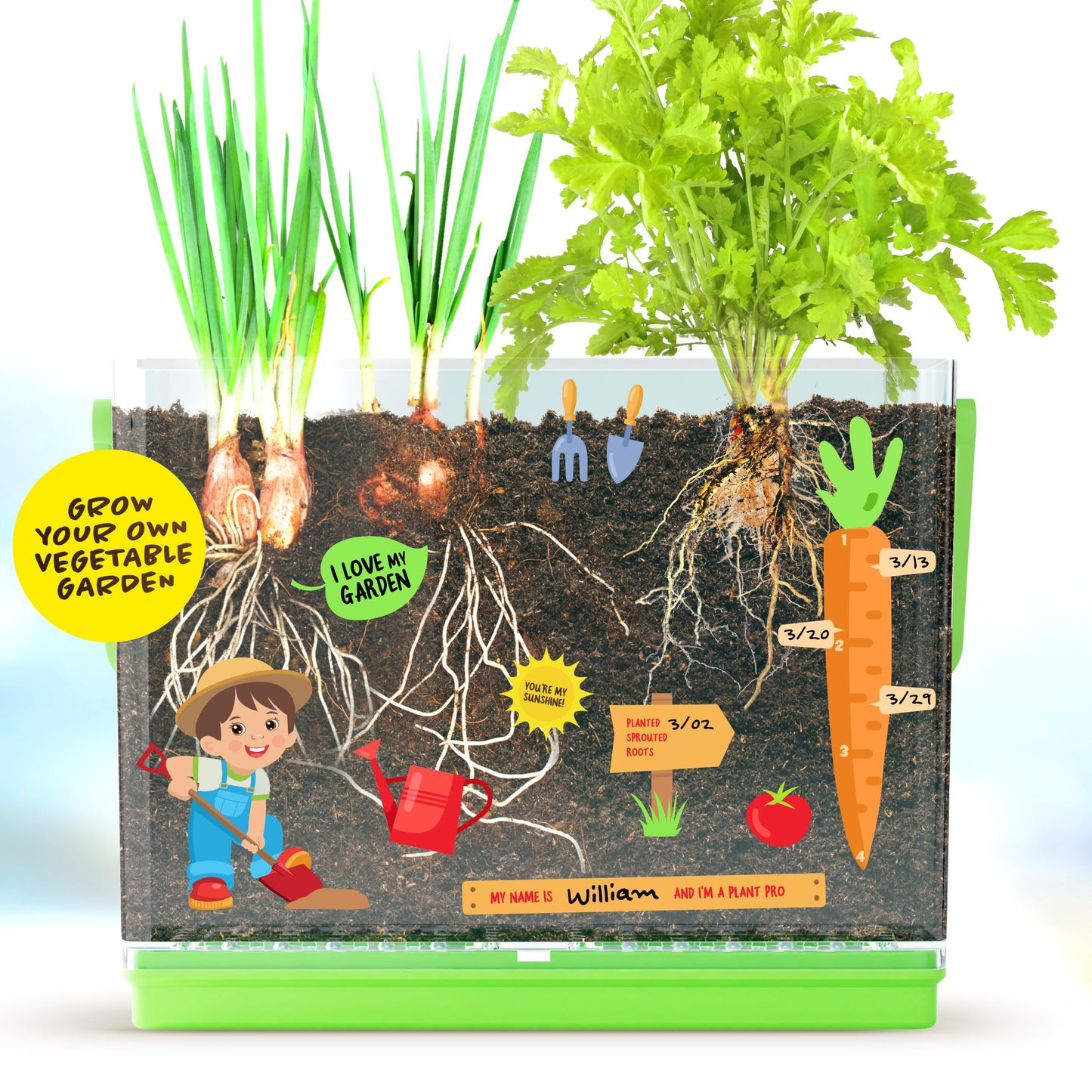 Dan&Darci Root Viewer Kit for Kids - Grow Your Own Plant for Boys & Girls Gifts - Science STEM Toy & Craft Growing Kits for Ages 4-8 Birthday Gifts for Boy, Girl 4, 5, 6, 7, 8, Year Old