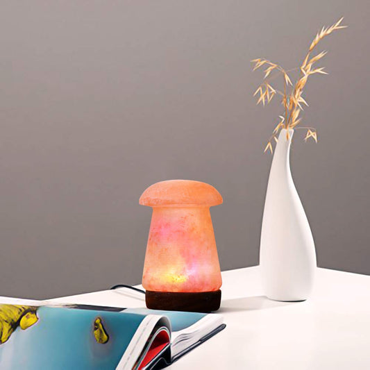 Natureboost Himalayan Salt Lamp, USB Powered Color Changing Mushroom Shaped Lamp Unique Gift For Home Decore and Relaxation