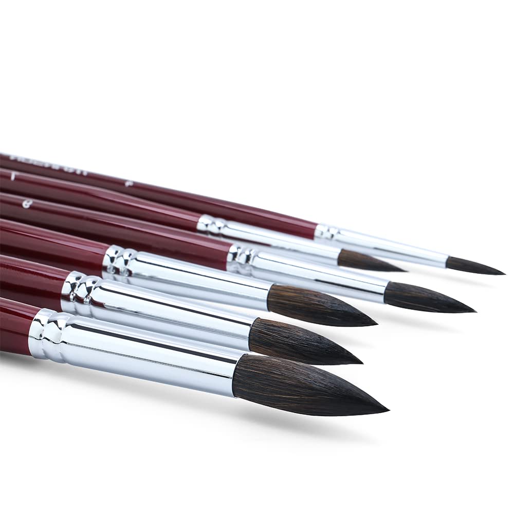 Transon Squirrel Hair Round Paint Brush Set for Watercolor Gouache Ink Acrylic Art Painting Short-Handle