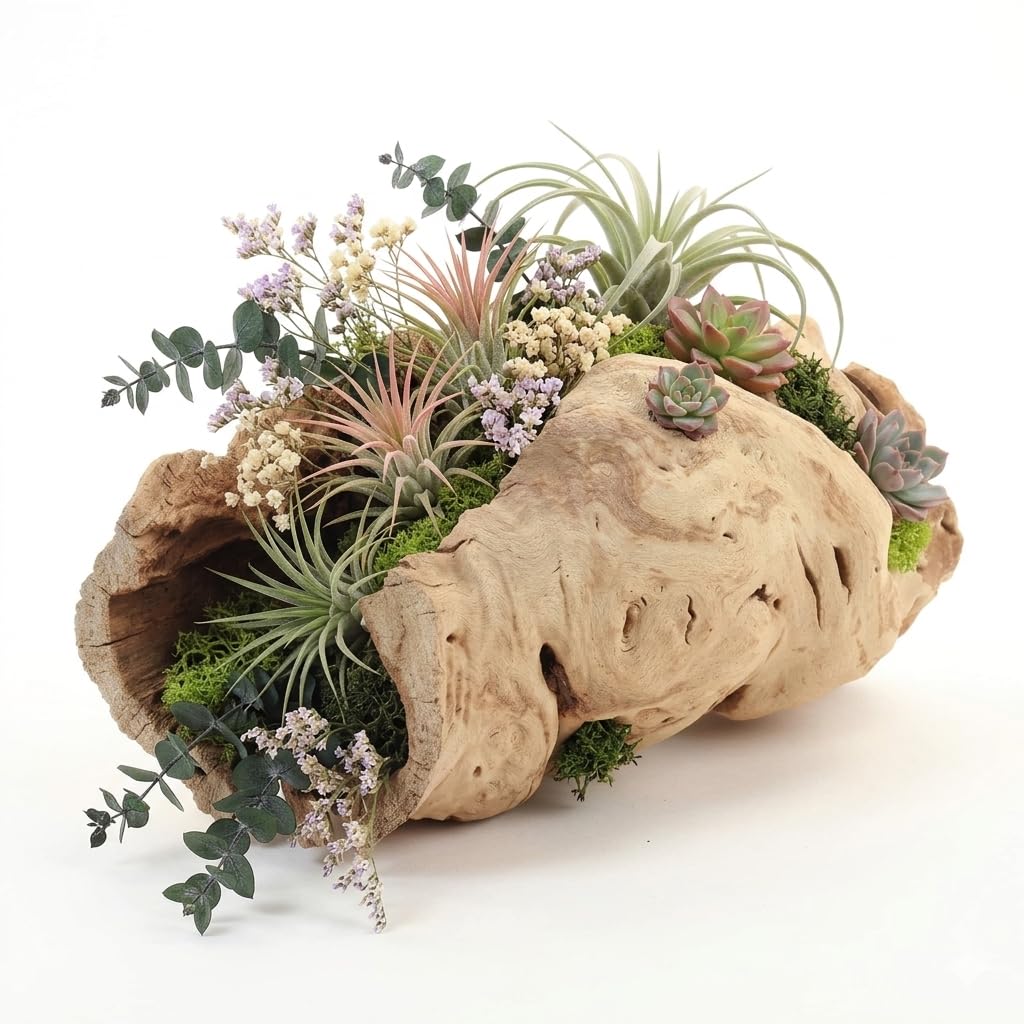 Koyal Wholesale 10" Hollow Grapewood Branch Decor 1Pcs Grapewood Centerpiece Vase Air Plants Sand Blasted Grapevine Wood Untreated Terrarium Wood Driftwood Decor