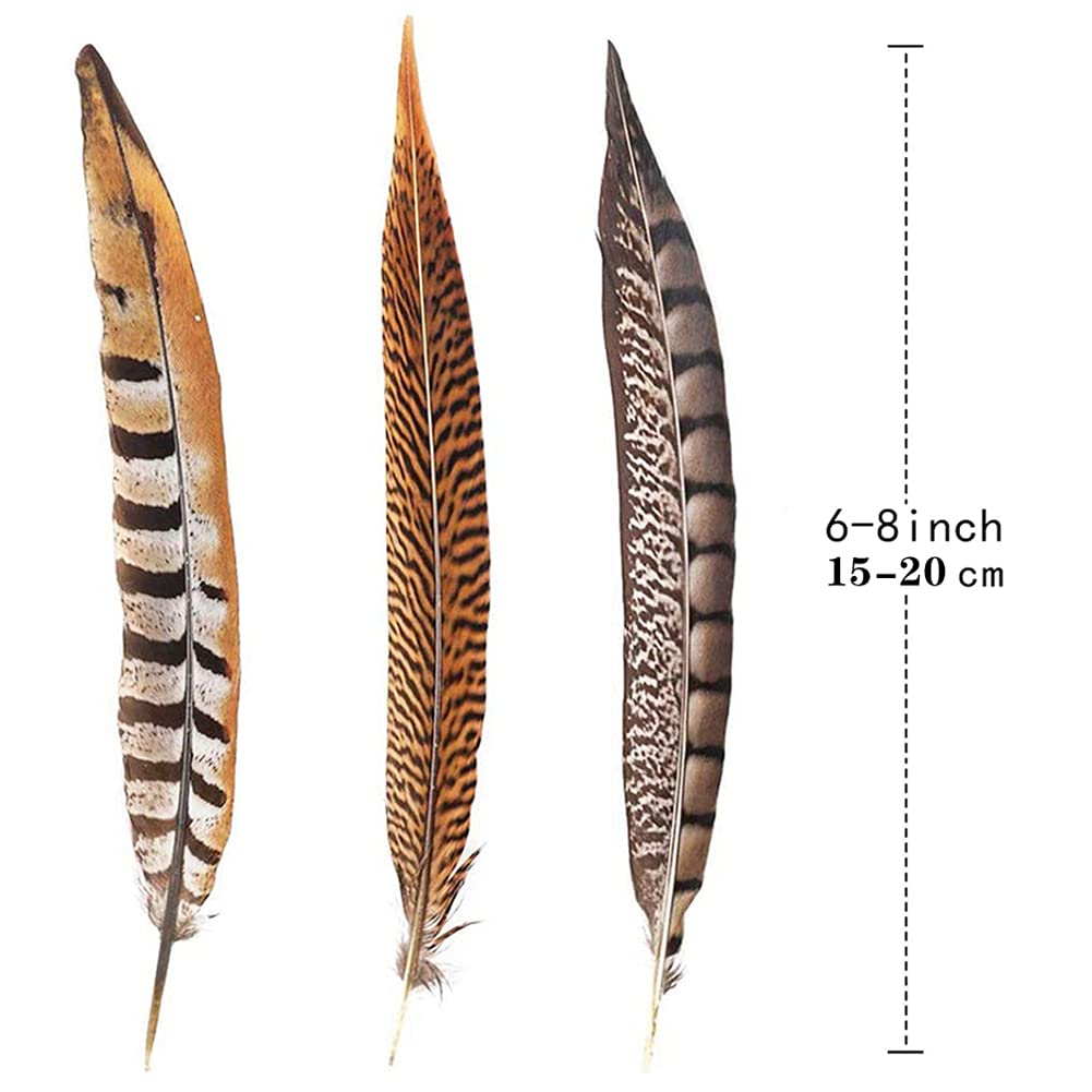 Flying Feathers Natural Pheasant Feathers 4 Style 15-20cm 12pcs Natural Feathers for DIY Craft Home Party Decorations FF03…