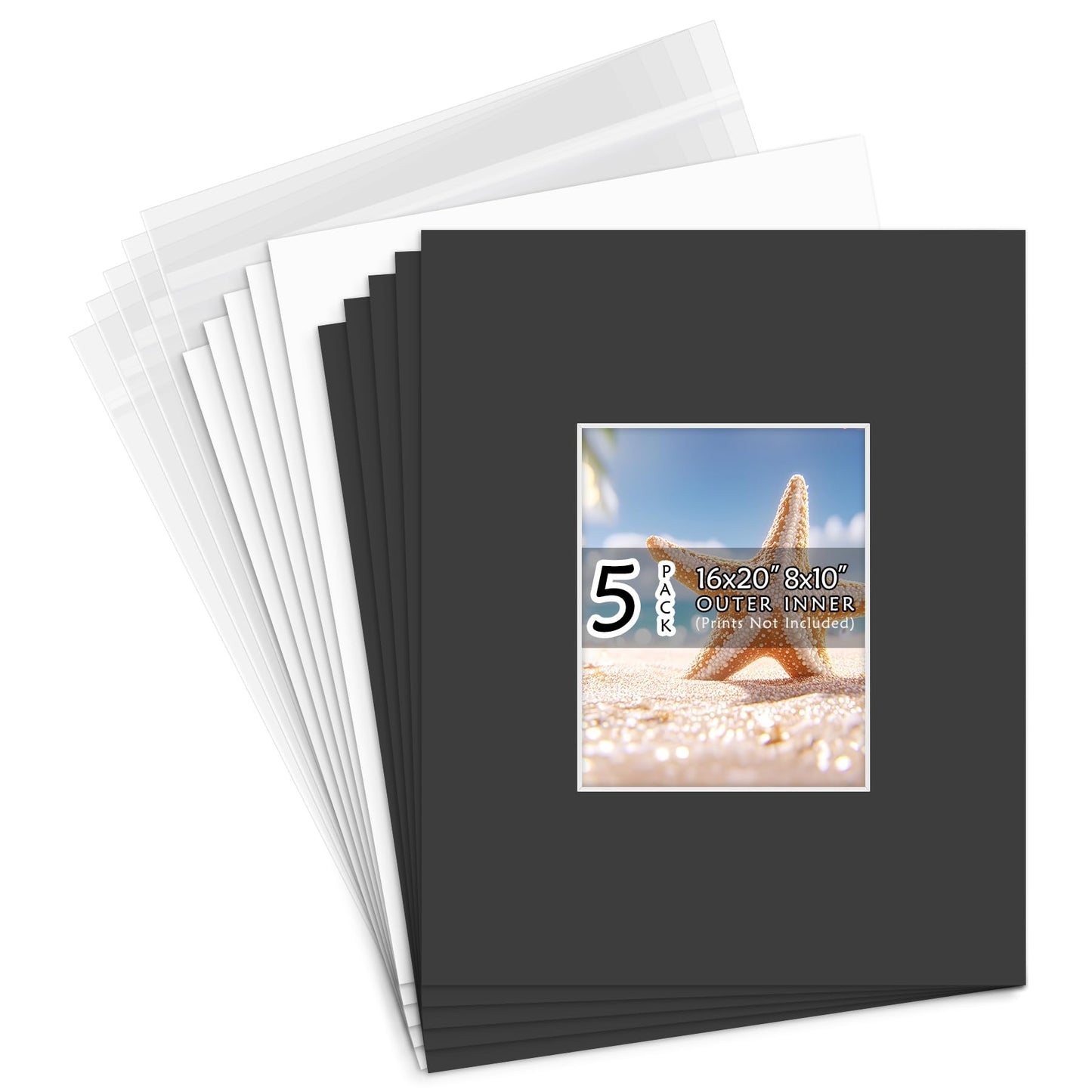 Golden State Art, Acid Free, Pack of 5, 16x20 Black Picture Mats Mattes with White Core Bevel Cut for 8x10 Photo + Backing + Bags