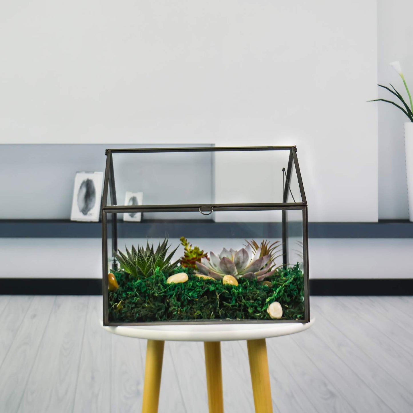 Large Glass Plant Terrarium – House Succulent Glass Terrarium Kit with Lip Glass Greenhouse Terrarium for Plant 12.26X9.15X10.9inch (Black 2)