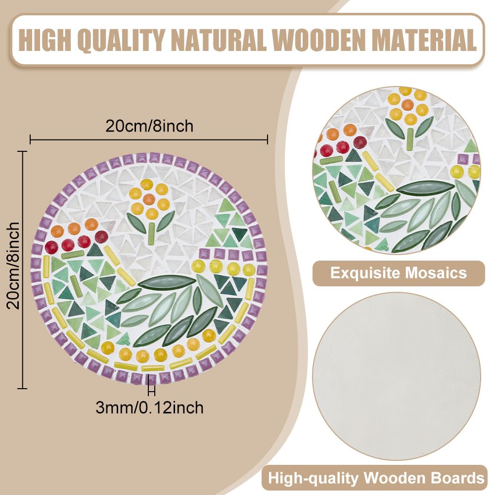 WEBEEDY 7.9 inch 2 Set DIY Birds Mosaic Art Coasters Kit DIY Glass Mosaic Tiles for Crafts Animal Theme Round Mosaics Coaster Making with Instruction for Adults Beginners Home Decoration Birthday Gift