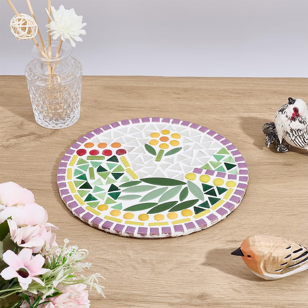 WEBEEDY 7.9 inch 2 Set DIY Birds Mosaic Art Coasters Kit DIY Glass Mosaic Tiles for Crafts Animal Theme Round Mosaics Coaster Making with Instruction for Adults Beginners Home Decoration Birthday Gift