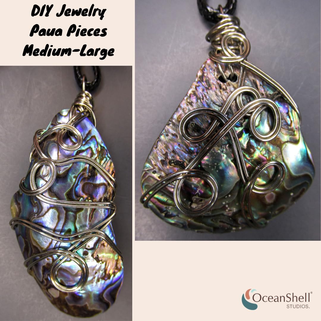 Abalone (Pāua) Shell Pieces-7.05oz Pack-for Crafts, Jewelry Making, Resin Art, Inlay, Home Decorations, Fishtank Supplies, DIY Projects - Satin, Small Size .60"- .98" (15-25 mm) 7.05oz (200grams)