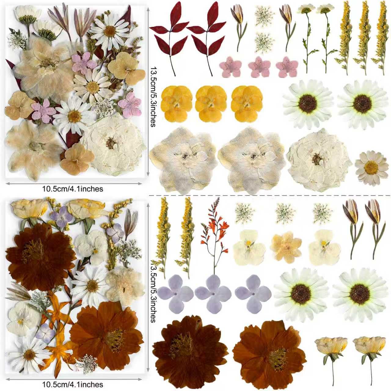 TrendCart Boho 88Pcs Real Natural Dried Pressed Flowers for DIY Crafts, Resin Jewelry, Scrapbooking, Frame Decor + Free 66Pcs Butterfly Stickers & Tweezers