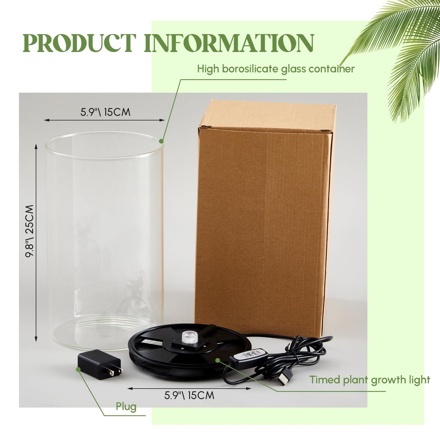 Maxdot Glass Plant Terrarium Kit with Light for Succulent, Moss, Miniature Gardening Landscape, Betta Fish Tank, Office Home Decoration, Plant Lovers Gifts(9.8 x 5.9 Inch)