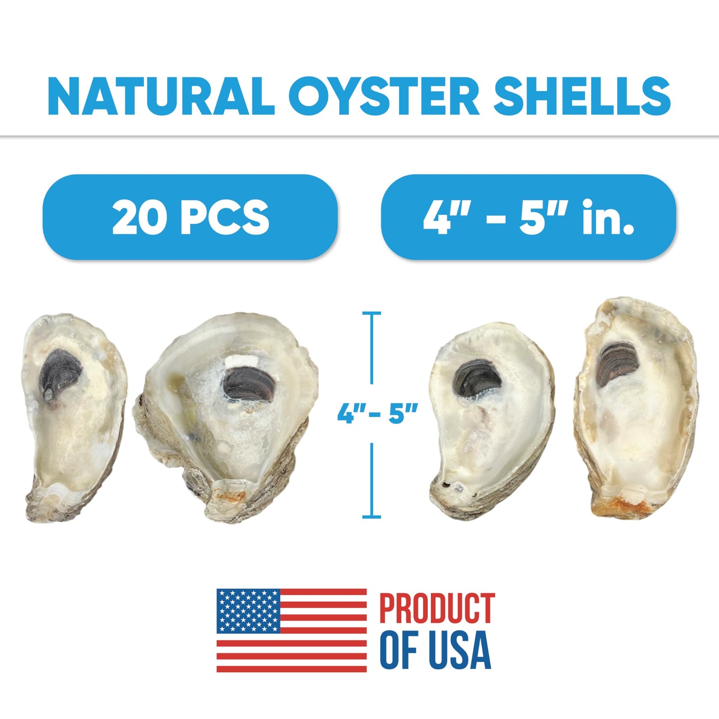 Tumbler Home Oyster Shells for Crafts, 20pcs, 4"- 5" Large Oyster Shells for Crafting, Decoupage, Christmas Ornaments, Wreaths, Weddings, Beach Décor, DIY Arts & Crafts. Bulk. Farmed in USA
