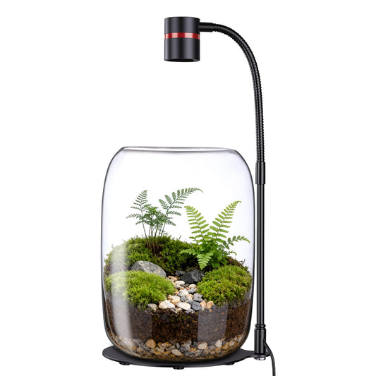 Xyingshine Glass Plant Terrarium with 5W LED Grow Light,Desktop Terrarium Jar for Moss, Succulents & Mini Plants,8.7" Tall Glass Terrarium for Home Office Decor,USB Powered,3 Color Dimming