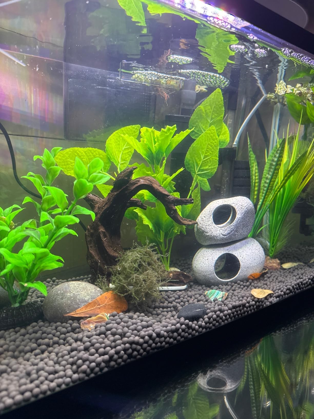 Obantrsz Aquarium Driftwood Decor Set - 1 Anubias Resin Model & 3Pcs Small Natural Driftwood 2-4 inch for Aquascaping, Fish Tank Landscape Design