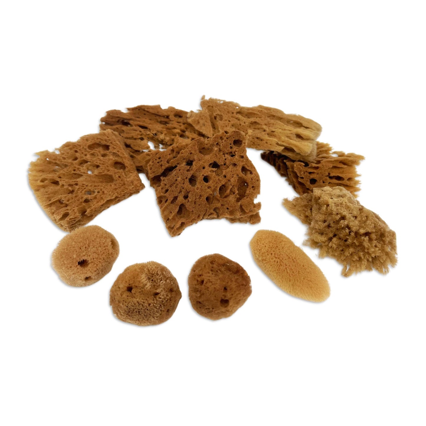 Lullingworth® Artist Natural Sea Sponges: Unbleached 10 Pack 2-4 inch Value Tool Set-Faux Painting Effects, Acrylic Paint, Watercolor, Texturing, Marbling, Clay, Pottery, Ceramics, Crafts & Hobby