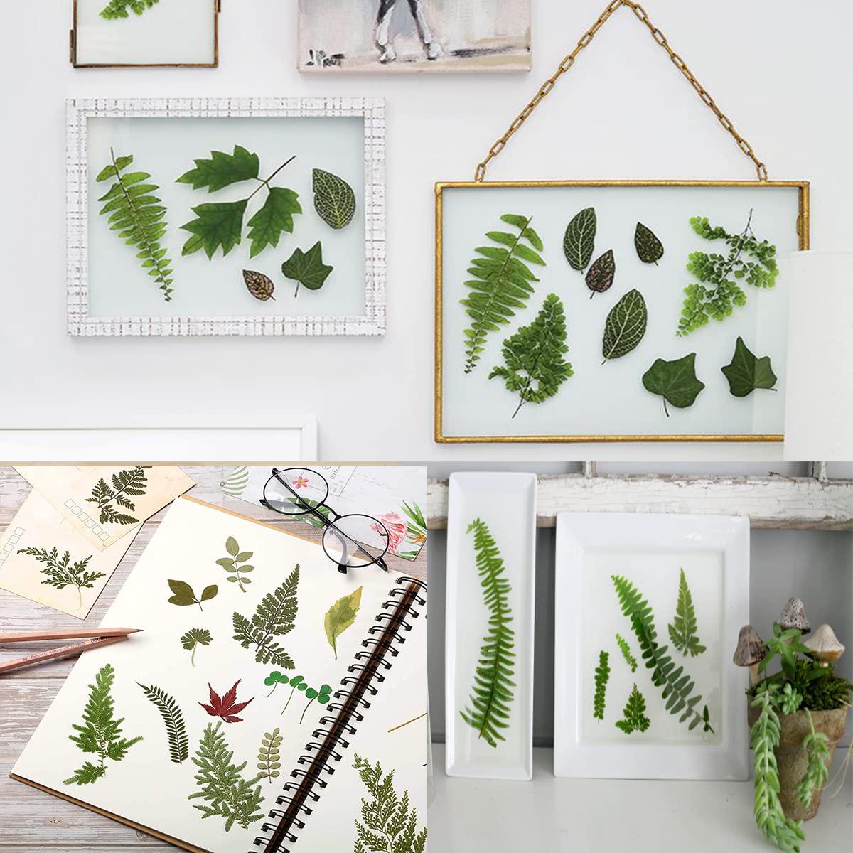 85PCS Real Dried Pressed Leaf Leaves, YouthBro Green Nature Plant Herbarium Set for DIY Jewelry Candle Soap Vase Making Nail Card Scrapbook Art Craft Floral Decors,28 Styles Green Mixed