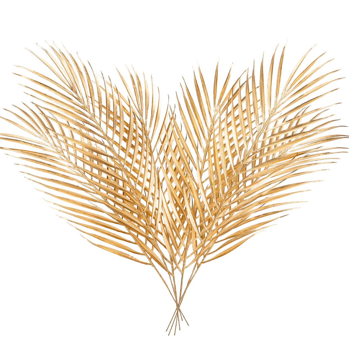 19” Large Gold Palm Leaves Palm Fronds Tropical Leaves Areca Palm Branches Artificial Palm Leaves with Stem Golden Palm Tree Leaves Faux Palm Leaves for Floral Arrangement Fake Gold Leaves 6Pcs