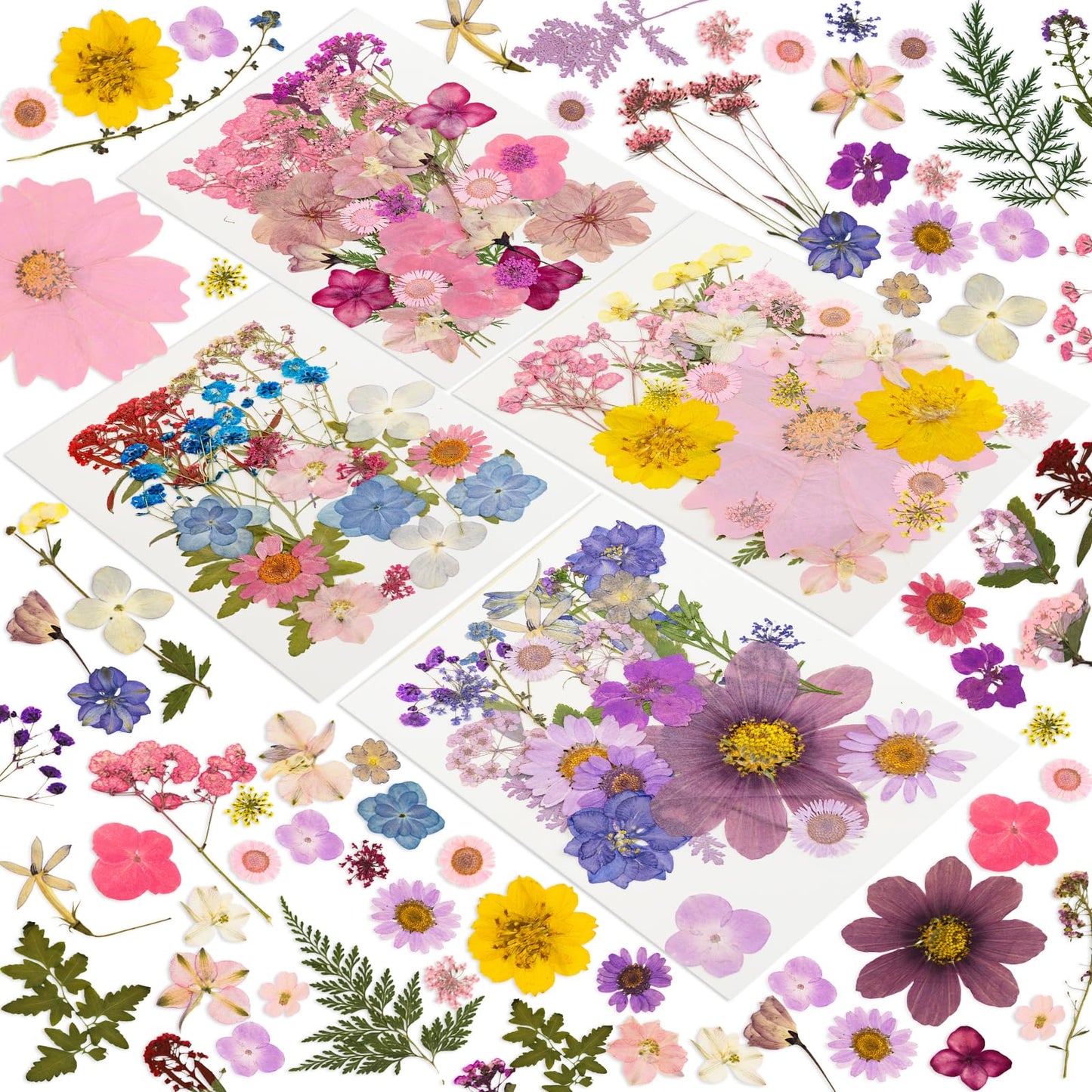 204 Pcs Dried Pressed Flowers for Resin Crafts, Real Natural Pressed Flowers and Leaves Kit Butterfly Stickers Vacuum Sealed Dry Flowers for DIY Epoxy Resin Jewelry Molds, Candle Soap Making, Nail Art