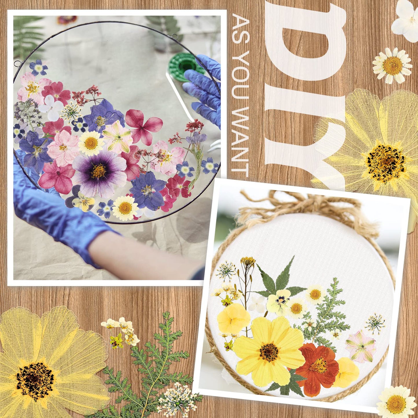 Nuanchu Dried Pressed Flowers for Crafts Resin Mother's Day Crafts Supplies Pressed Flowers Bulk Purple Dried Wildflowers Leave Natural with Tweezer DIY for Resin Mold Scrapbooking Nail Soap Making