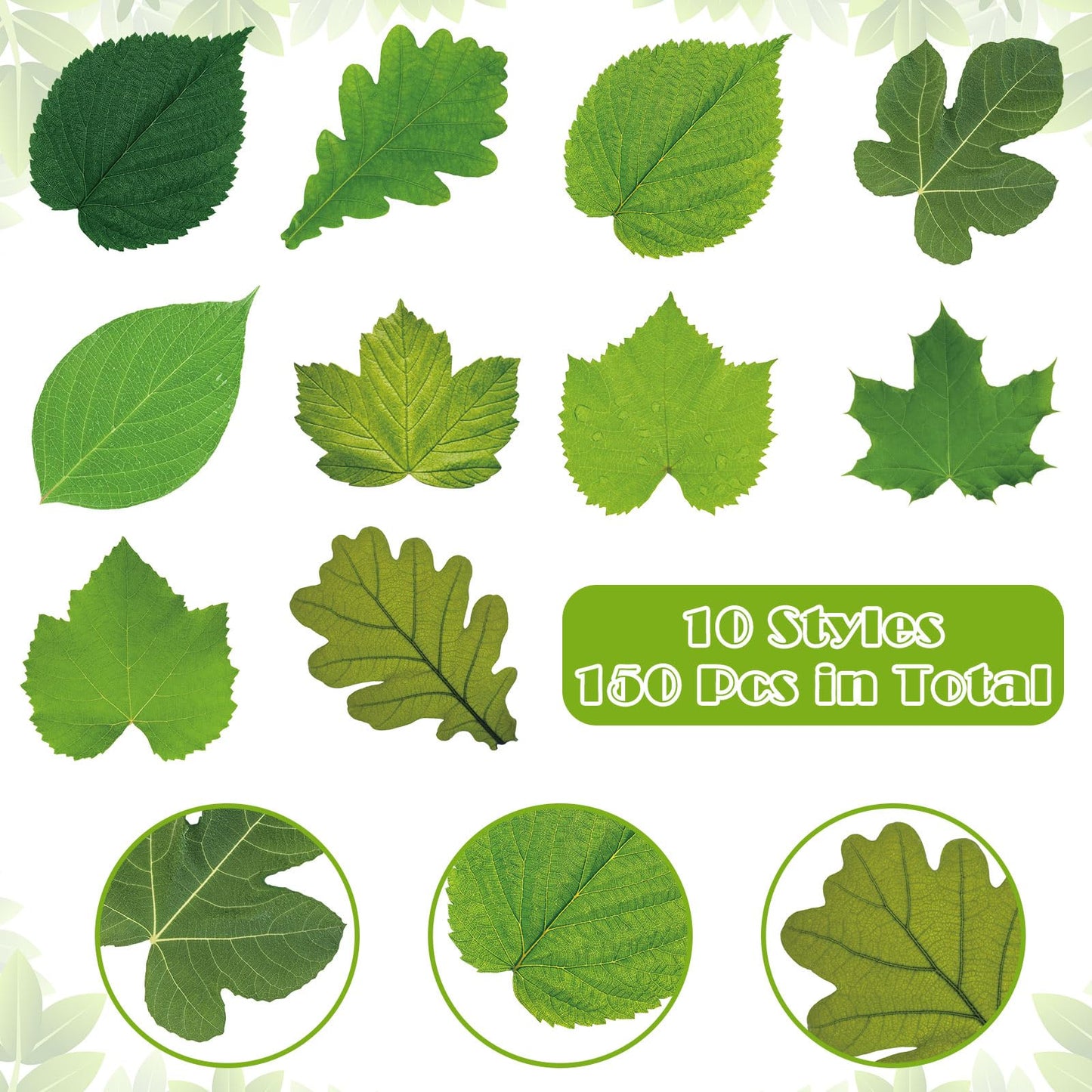 Tenceur 150 Pcs Parchment Paper Leaves 7.2 in Spring Cheese Papers Leaves Charcuterie Boards Spring Summer Parchments Sheet Decorative for Plate Table Festival Party Food Serving, 10 Styles
