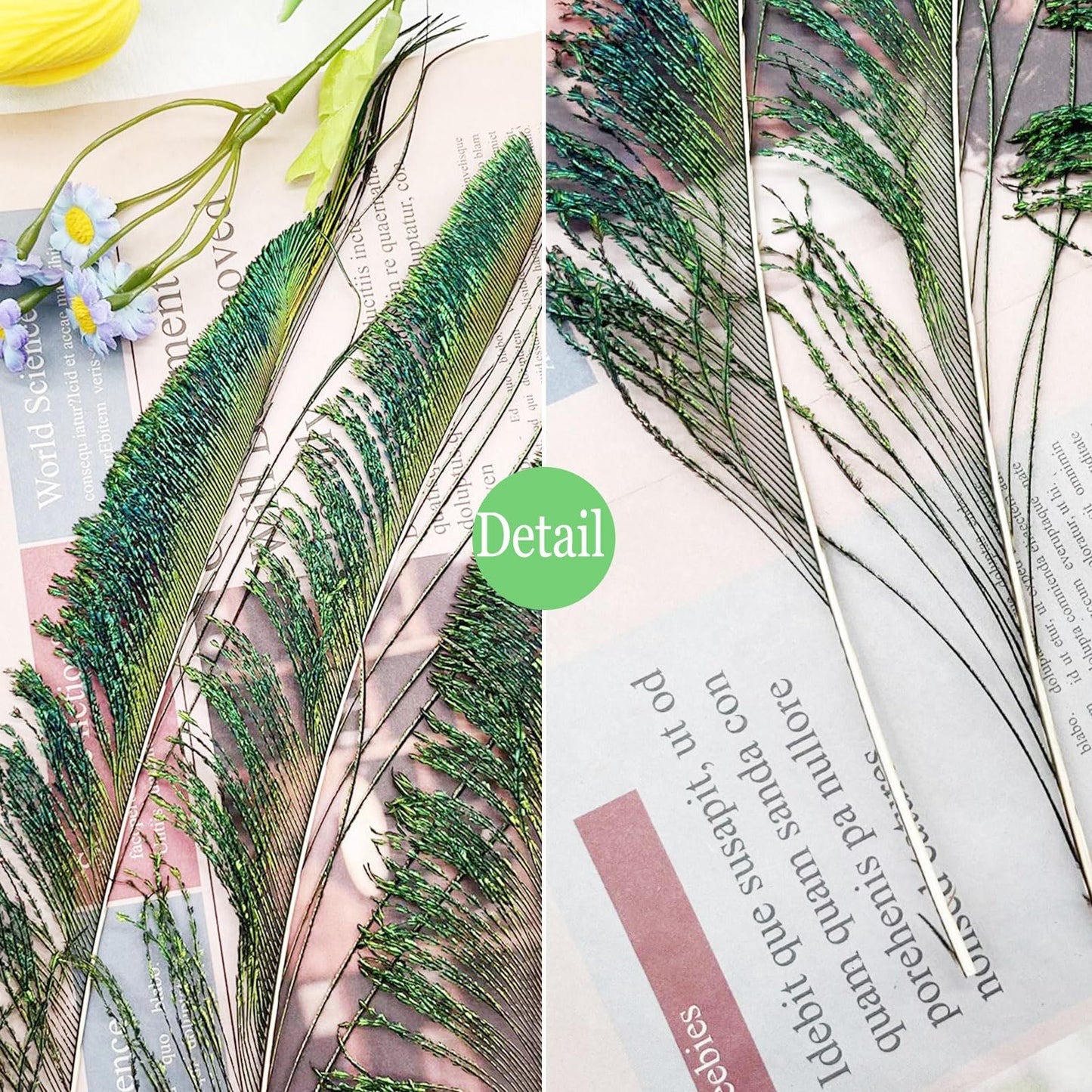 50pcs Natural Peacock Sword Feathers 12-14 Inch for Home Decor Wedding Party Vase Decoration Hat Costume DIY Crafts Floral Arrangements Christmas Tree Ornaments (25 Left & 25 Right)