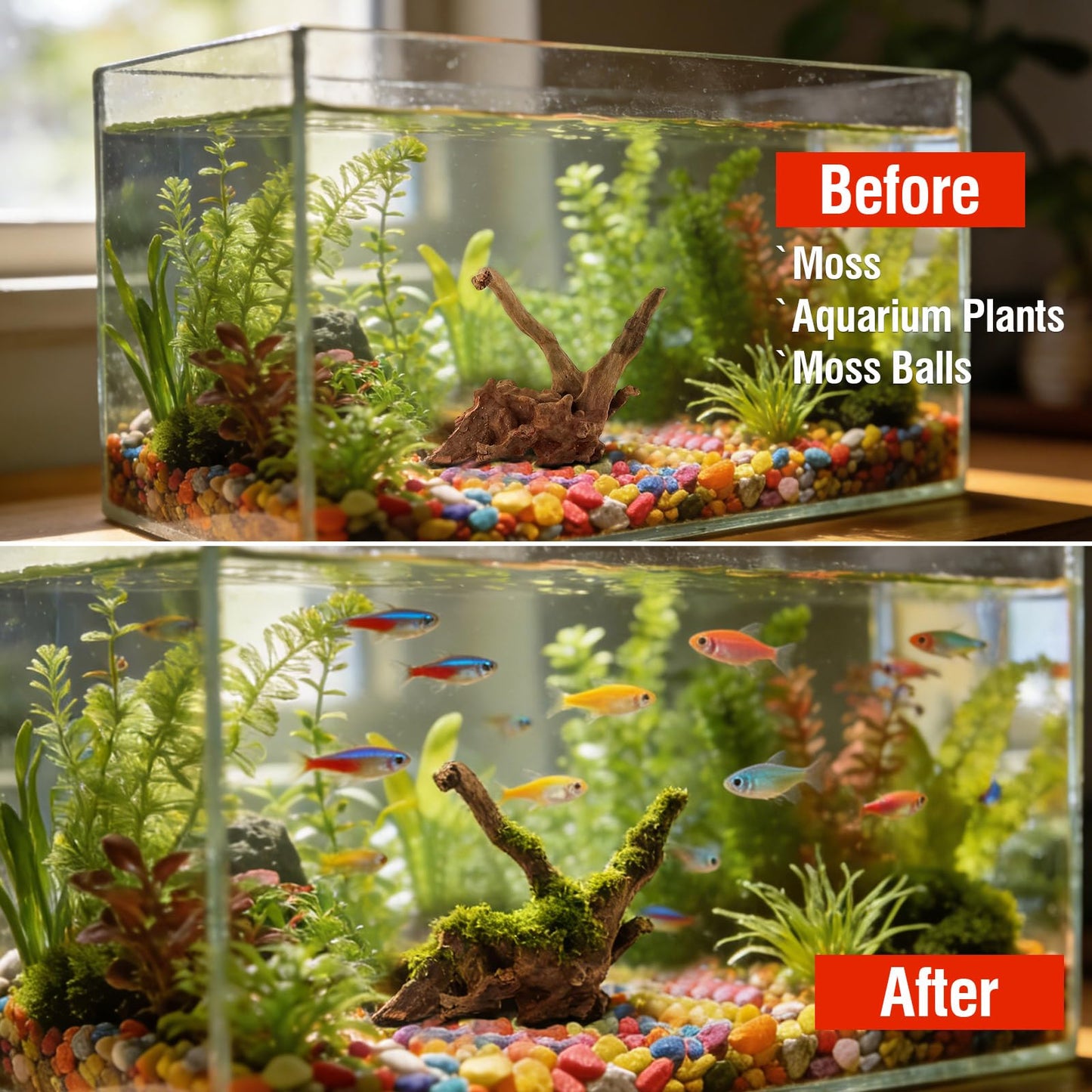 Packsy 4pcs Natural Aquarium Driftwood Decoration,Perfect for Aquascaping,Fish Tanks and Reptile Habitats,Enhances Underwater Aesthetics and Provides Hiding Spots for Fish(4pcs/4-6inches)
