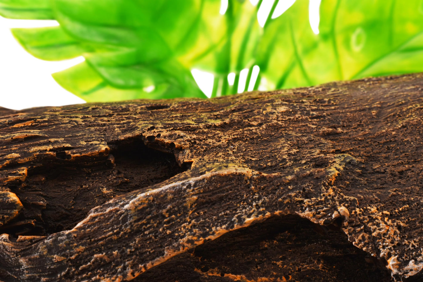 YAKCAM Reptile Hide 10.5 x 2.5 Inch Natural Looking Driftwood Aquarium Cave, Hideout for Amphibians, Lizards & Fish | Hollow Log with Life-Like 7" Monstera Plant | Terrarium & Aquarium Tank Decoration