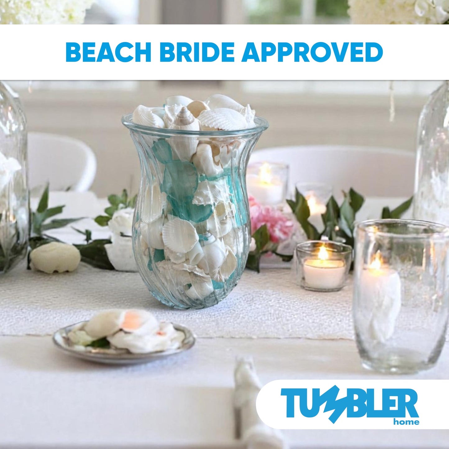 Tumbler Home White Sea Shell Mix with Aqua Sea Glass | Set Contains 1.5 lbs of Seashells and Seaglass | Beach Decor, Crafts, Wedding, Vase Filler