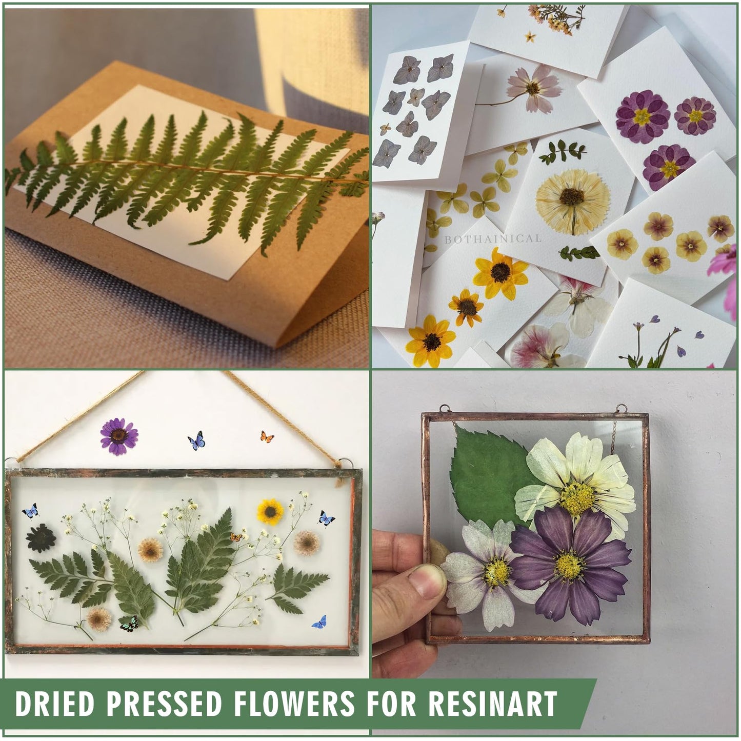 204 Pcs Dried Pressed Flowers for Resin Crafts, Real Natural Pressed Flowers and Leaves Kit Butterfly Stickers Vacuum Sealed Dry Flowers for DIY Epoxy Resin Jewelry Molds, Candle Soap Making, Nail Art
