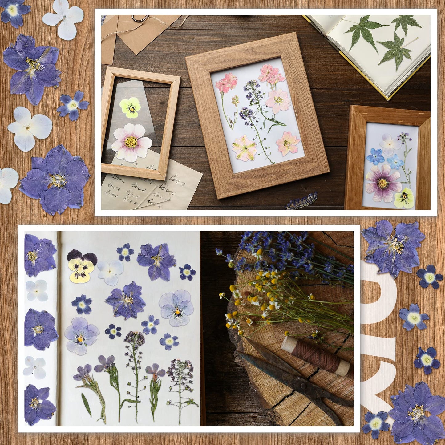 Nuanchu Dried Pressed Flowers for Crafts Resin Mother's Day Crafts Supplies Pressed Flowers Bulk Purple Dried Wildflowers Leave Natural with Tweezer DIY for Resin Mold Scrapbooking Nail Soap Making