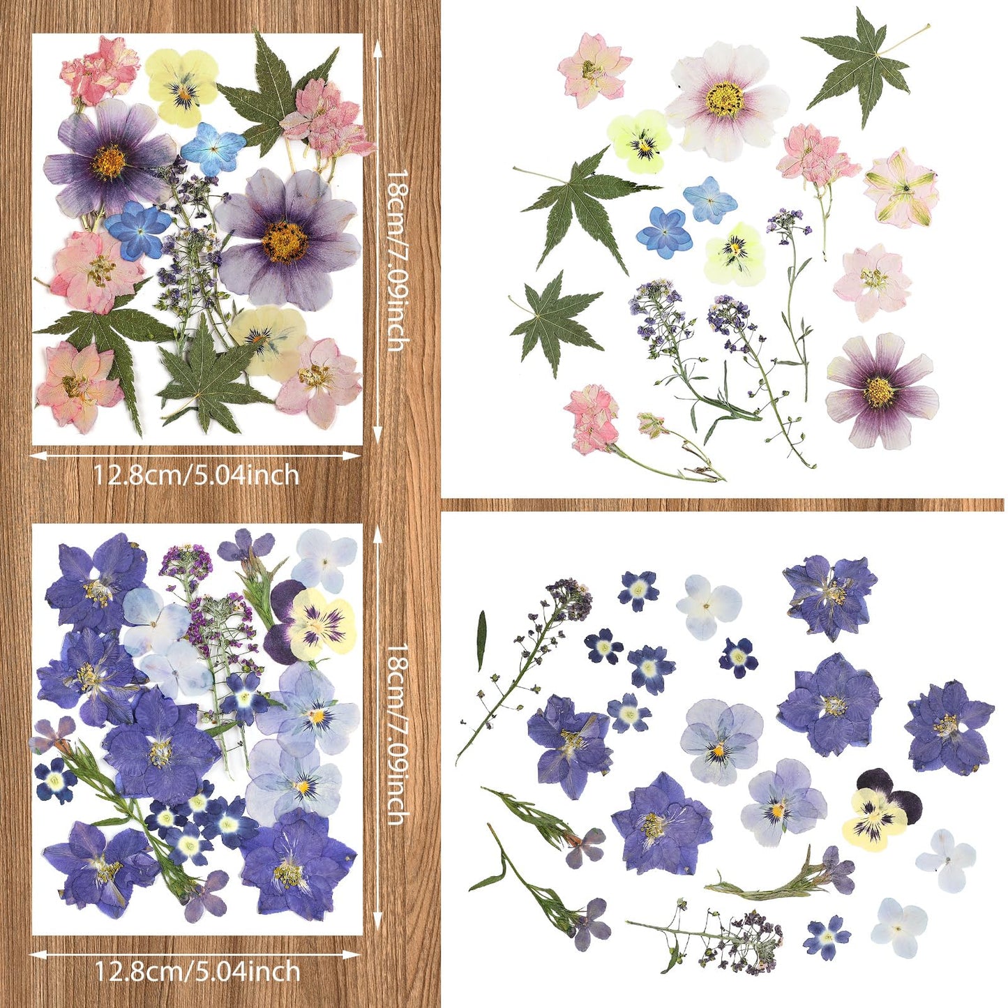 Nuanchu Dried Pressed Flowers for Crafts Resin Mother's Day Crafts Supplies Pressed Flowers Bulk Purple Dried Wildflowers Leave Natural with Tweezer DIY for Resin Mold Scrapbooking Nail Soap Making