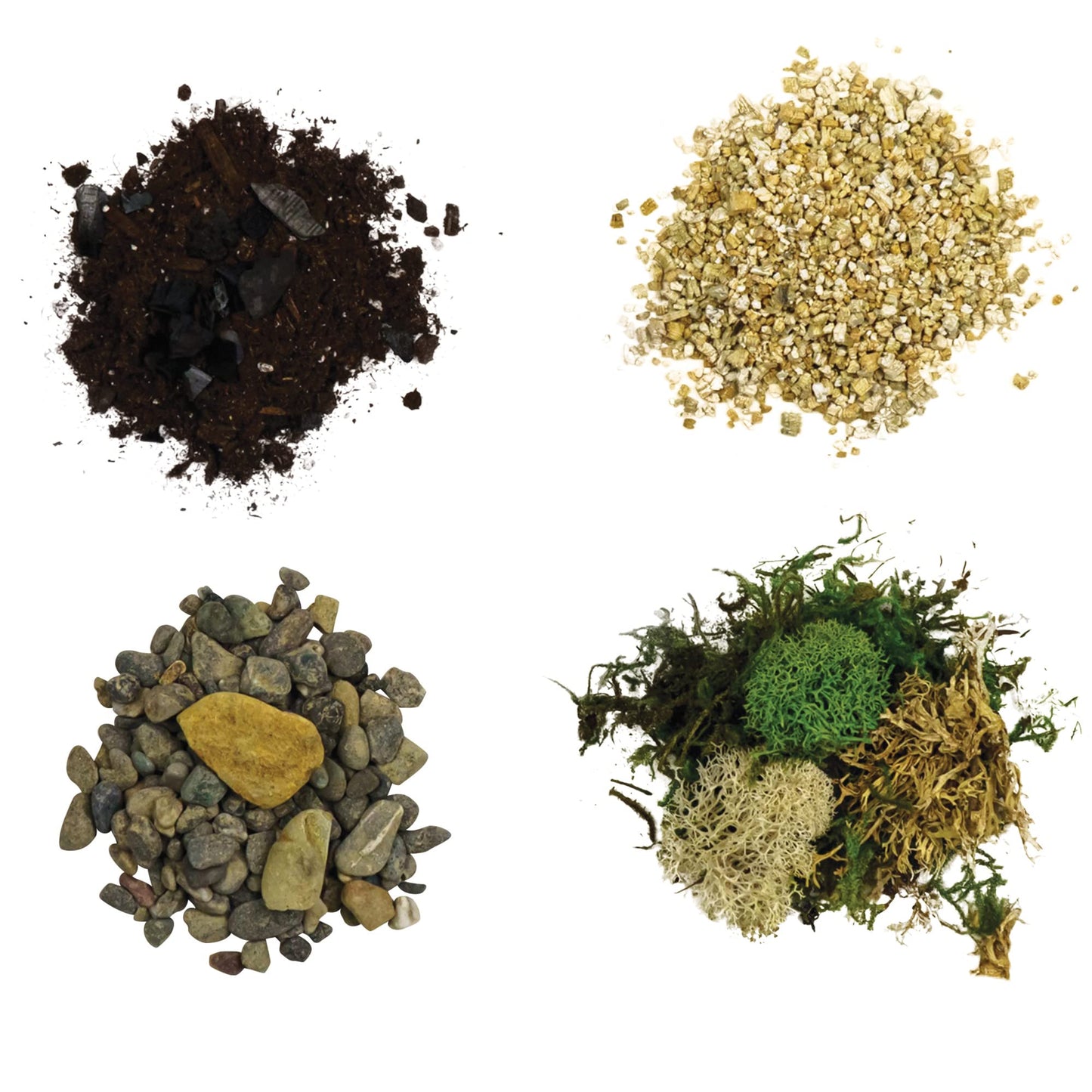 Cute Farms Terrarium Starter Kit | Moss, Vermiculite, Soil, Pebbles, Plant Food, Finishing Tools, Build and Care Guide | DIY Succulent Terrarium for Adults and Kids (Large)