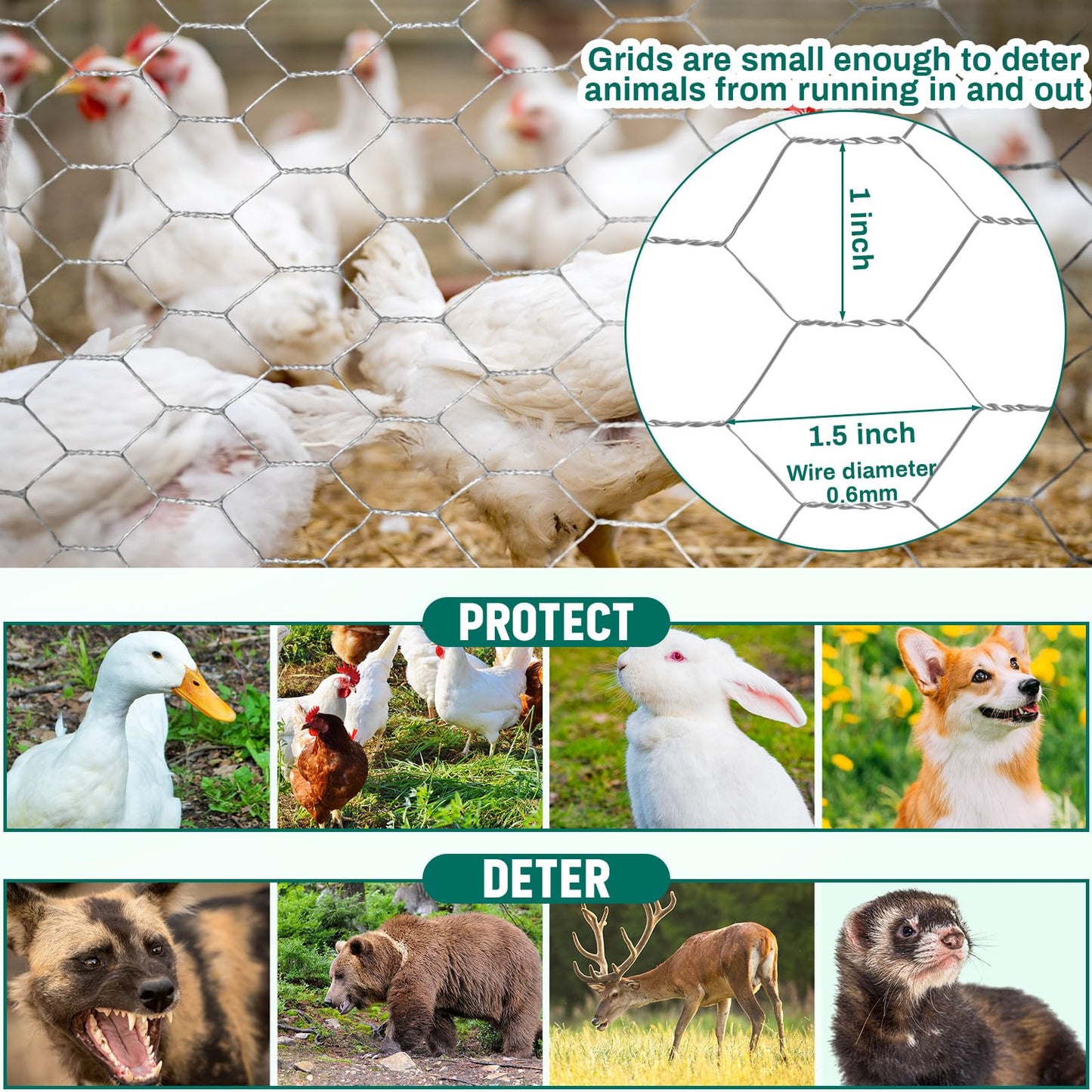 GlikCeil 48 in X 200 ft Chicken Wire Fencing Metal Floral Chicken Wire Mesh for Crafts Poultry Garden, 1 Inch Hexagonal Galvanized Hardware Cloth Netting for Poultry Coop Barrier Rabbit Cage(Silver)