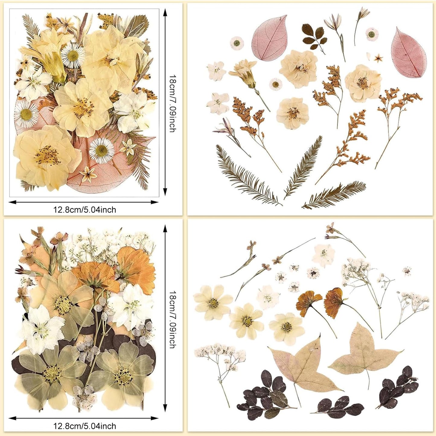 Nuanchu Dried Pressed Flowers for Soap Making Dried Flower Resin Crafts Vintage Pressed Wildflowers Leave with Tweezer for Mother's Day Craft Resin Mold Bride Scrapbook Supplies Nail Soap Wedding DIY