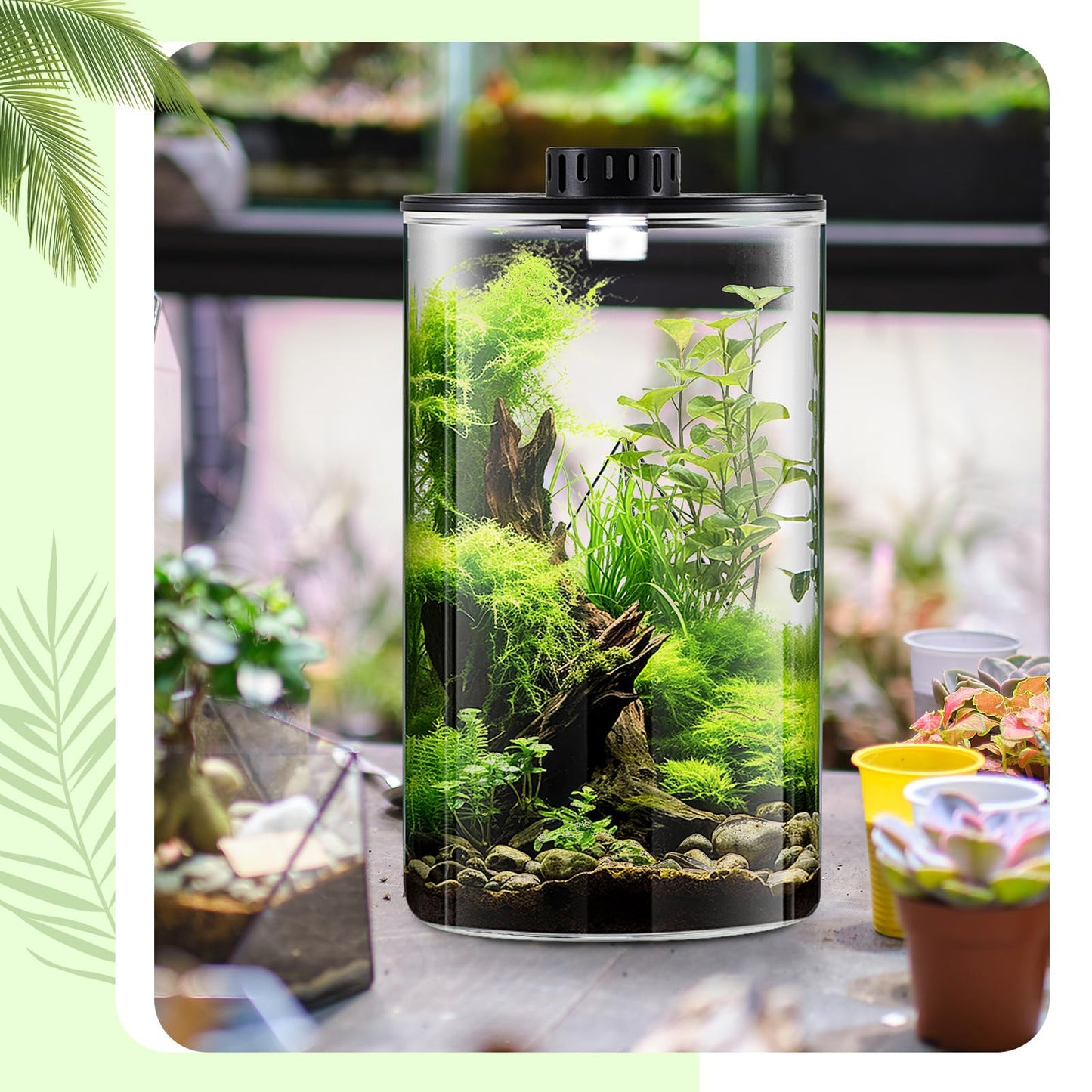 Maxdot Glass Plant Terrarium Kit with Light for Succulent, Moss, Miniature Gardening Landscape, Betta Fish Tank, Office Home Decoration, Plant Lovers Gifts(9.8 x 5.9 Inch)