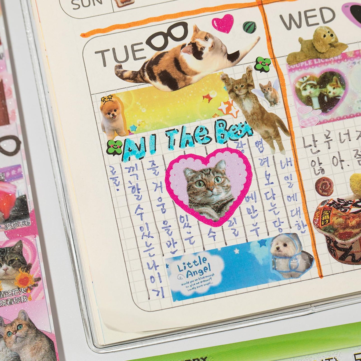 ZHIJIANHZ Cat Sticker Book with Meme Stickers 30 Pages Over 800 Die Cut Stickers with 3 Coating Types for Scrapbook Journal and Planner Sticker Album with Premium Art Paper and Cute Design
