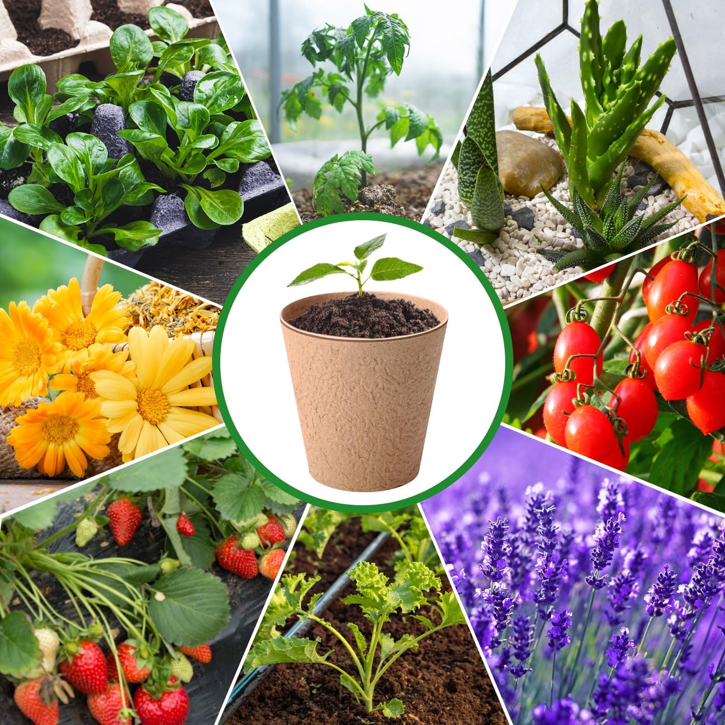 Sunnychicc 72 Pcs 4 Inch Garden Paper Pot Craft Kit Spring Crafts Bulk Including Round Paper Mache Pots Adhesive Foam Sticker EVA Grass Sticker Mother's Day DIY Planting Growing Garden Kit