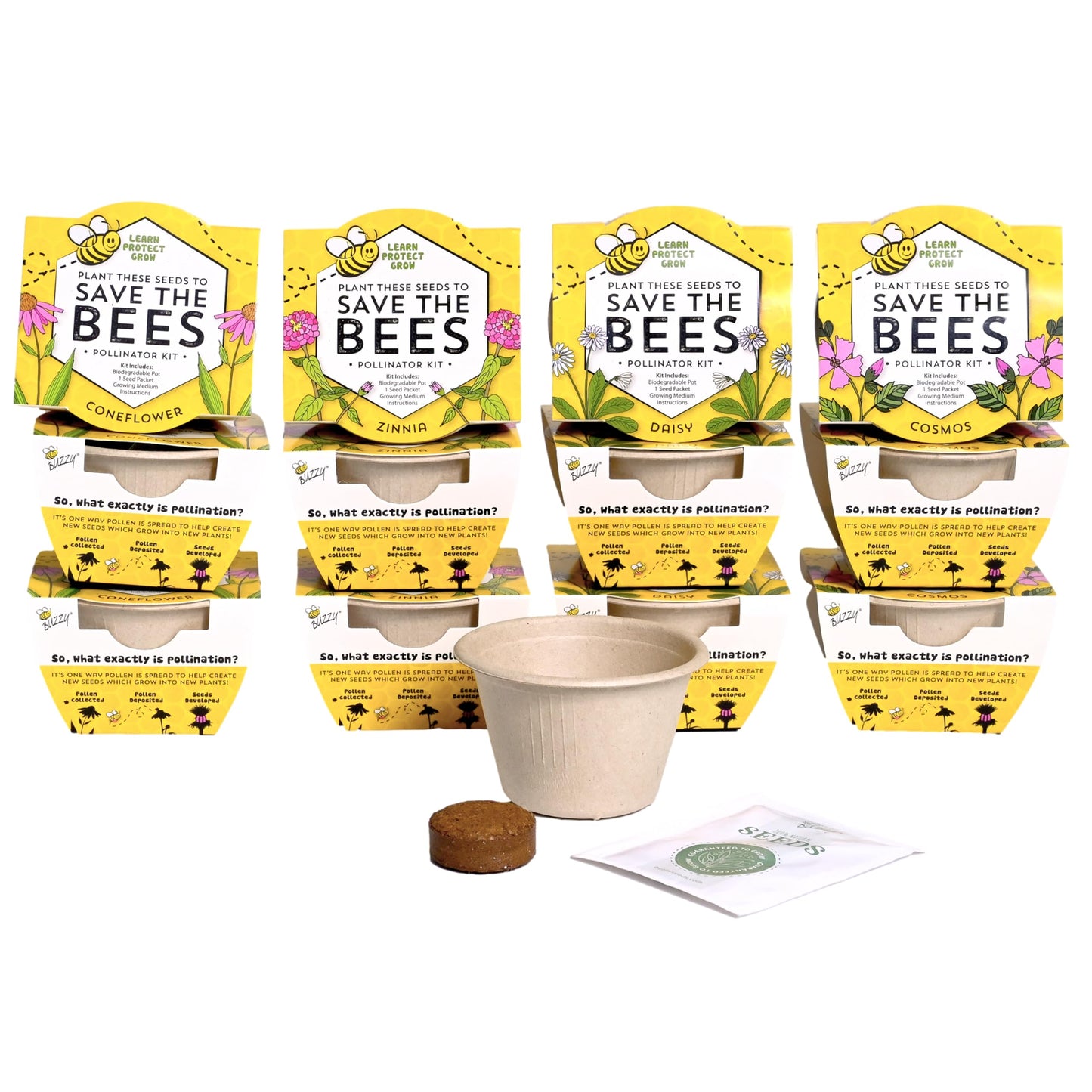 BUZZY Seeds Save The Bees Grow Kit, 12 Biodegradable Mini Flower Pots with Wildflower Seed Packets, Indoor Outdoor Planting Starter Set, DIY Gardening Gift, Sustainable Party Favors Adults