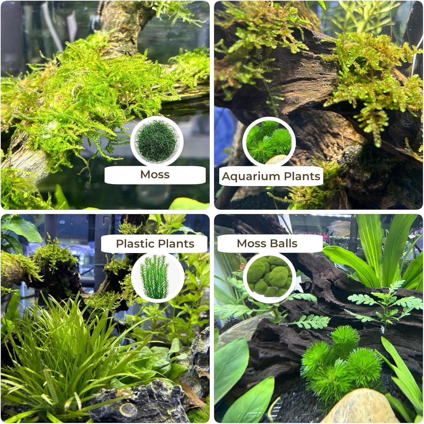 Hiwzitar 3-Piece 7-11 Inches Natural Aquarium Driftwood Decorations - Aquascape Decor for Fish Tanks, Betta Hideouts, Reptile Enclosures & Plant Attachment