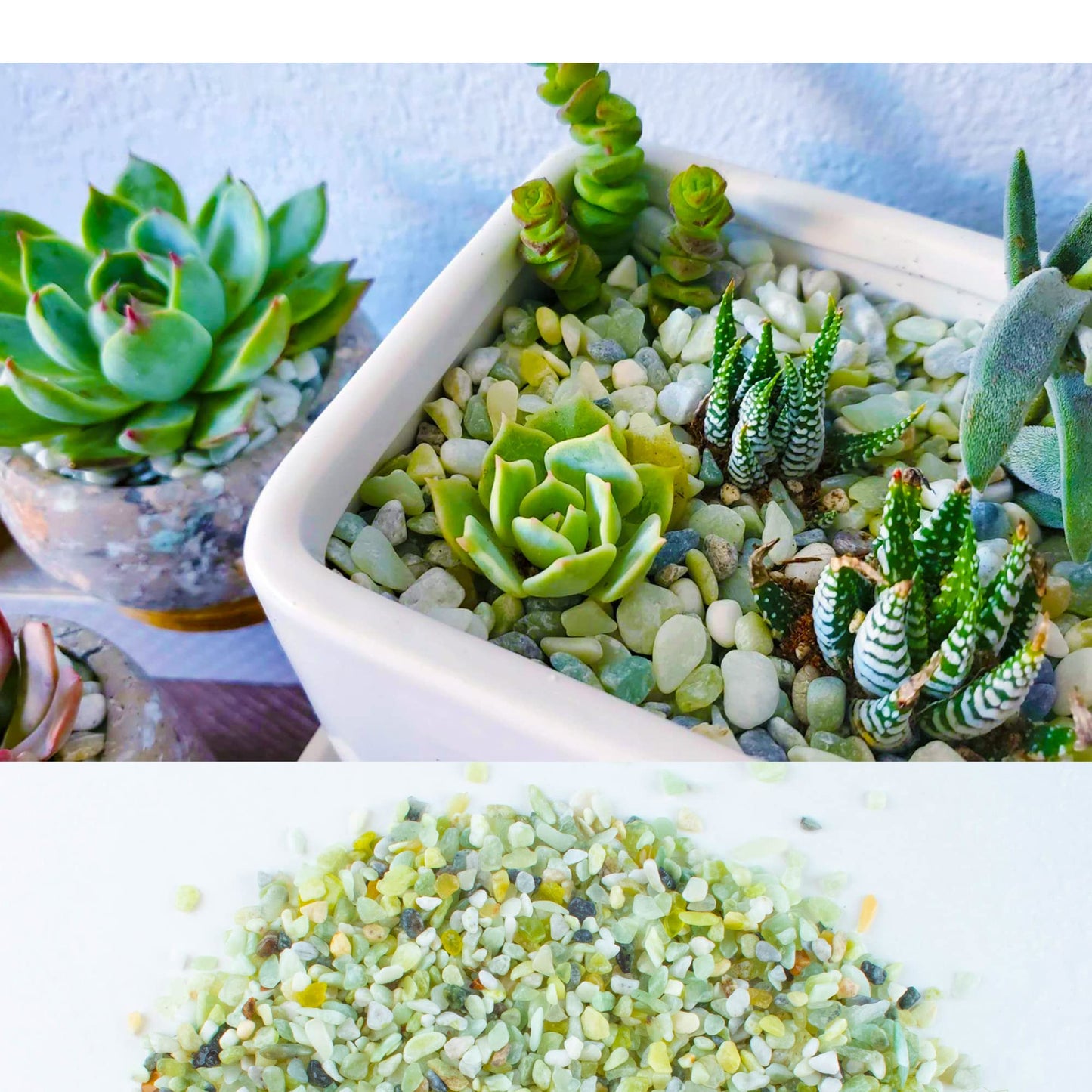 3lb Jade Bean Pebbles,1/4 Inch Cactus Bonsai DIY Rocks, Natural Succulent Rock and River Rocks Decorative for Aquariums, Vases, Terrarium, Outdoor Gardening, Top Dressing for Potted Plants