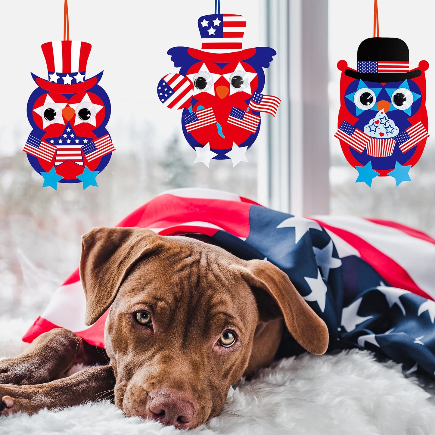 Winlyn 36 Sets 4th of July Craft Kits Patriotic Crafts DIY Owl Ornaments Decorations Art Sets Owl Shapes with Red White Blue USA Flag Patriotic Star Stickers for Kids Party Classroom Activities