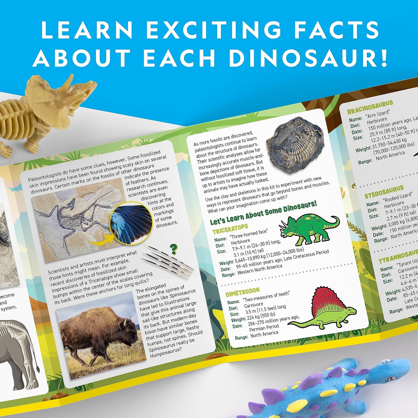 Blue Marble National Geographic Clay Dinosaur Arts & Crafts Kit - Air Dry Clay for Kids with 5 Clay Colors, 5 Dino Skeletons & Googly Eyes, Dinosaur Activity for Girls and Boys Ages 4 5 6 7 8 9 & 10